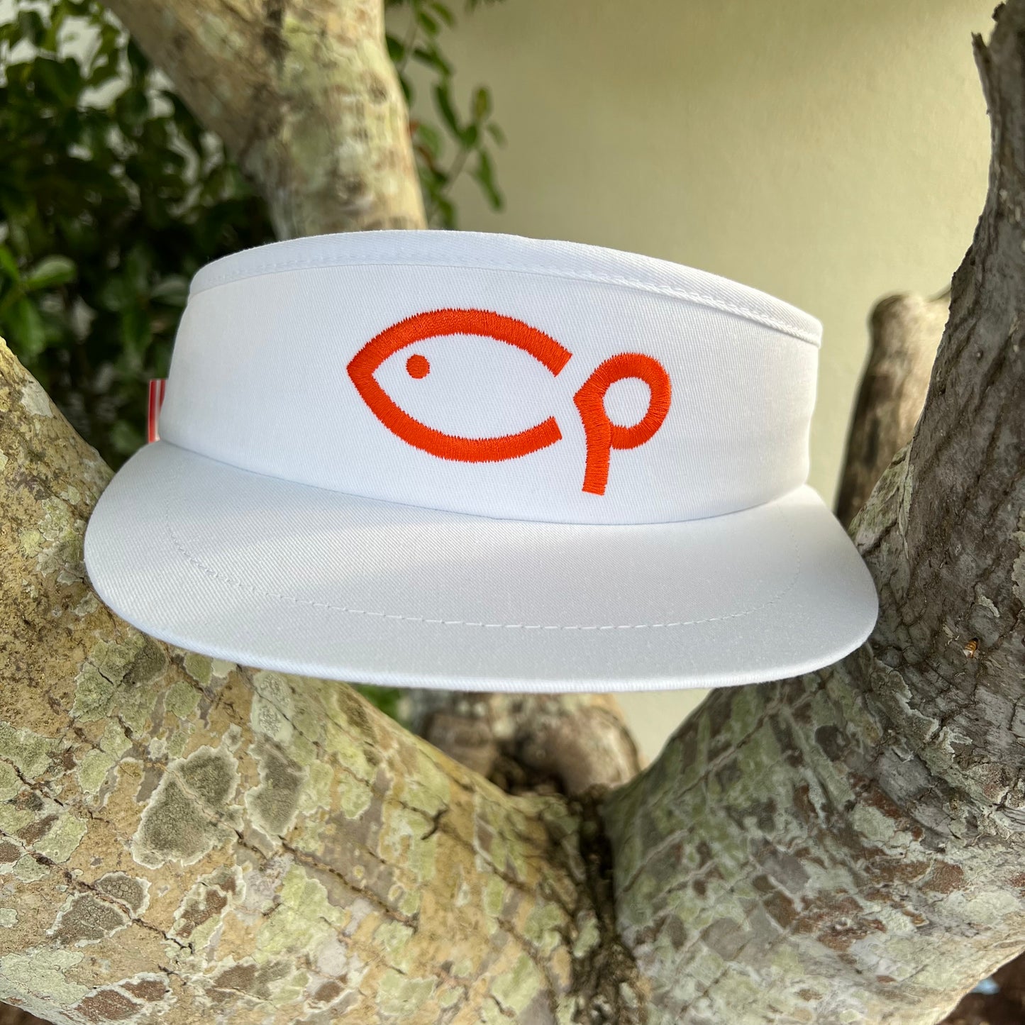 Golf Visor