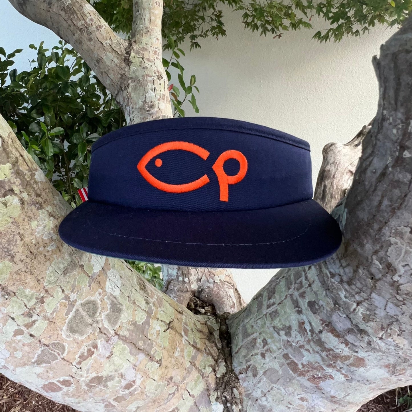 Golf Visor