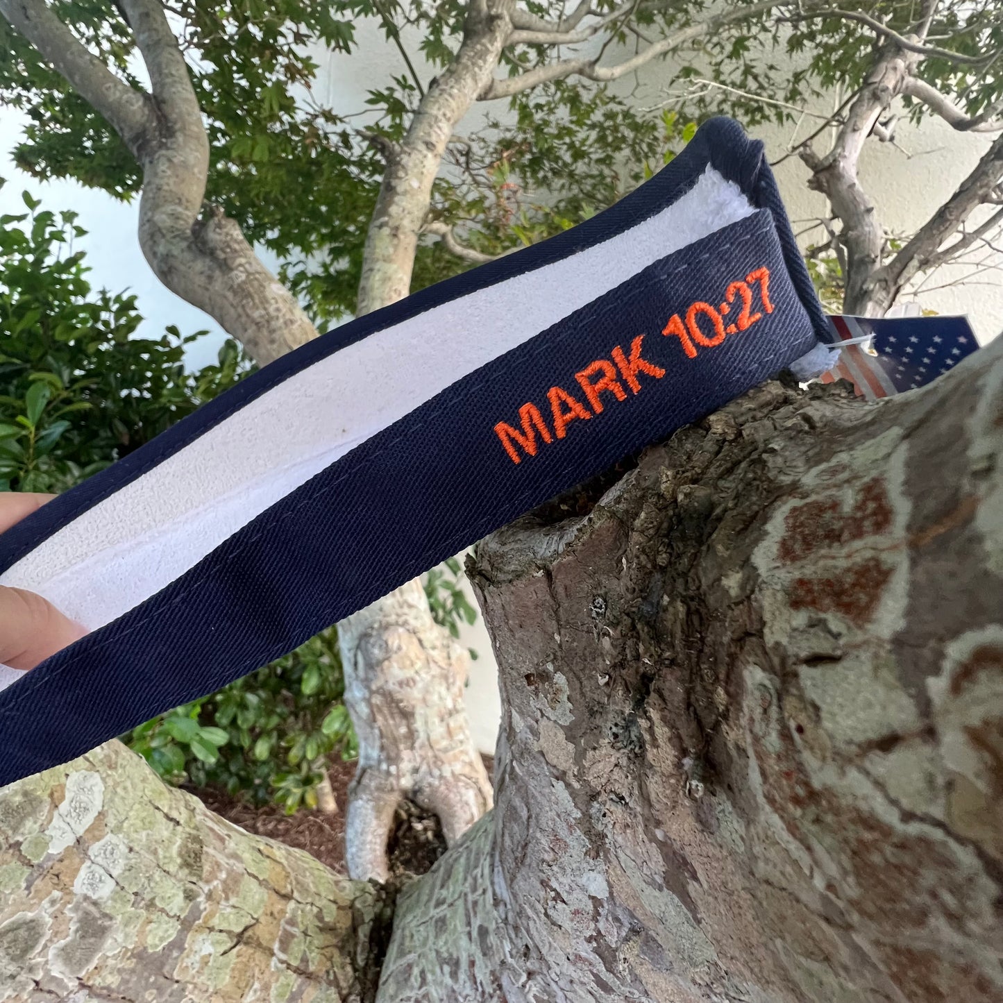 Golf Visor